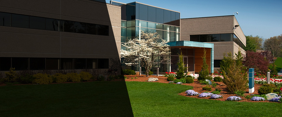 North Port Landscapers