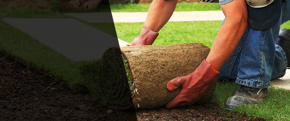 North Port Landscapers